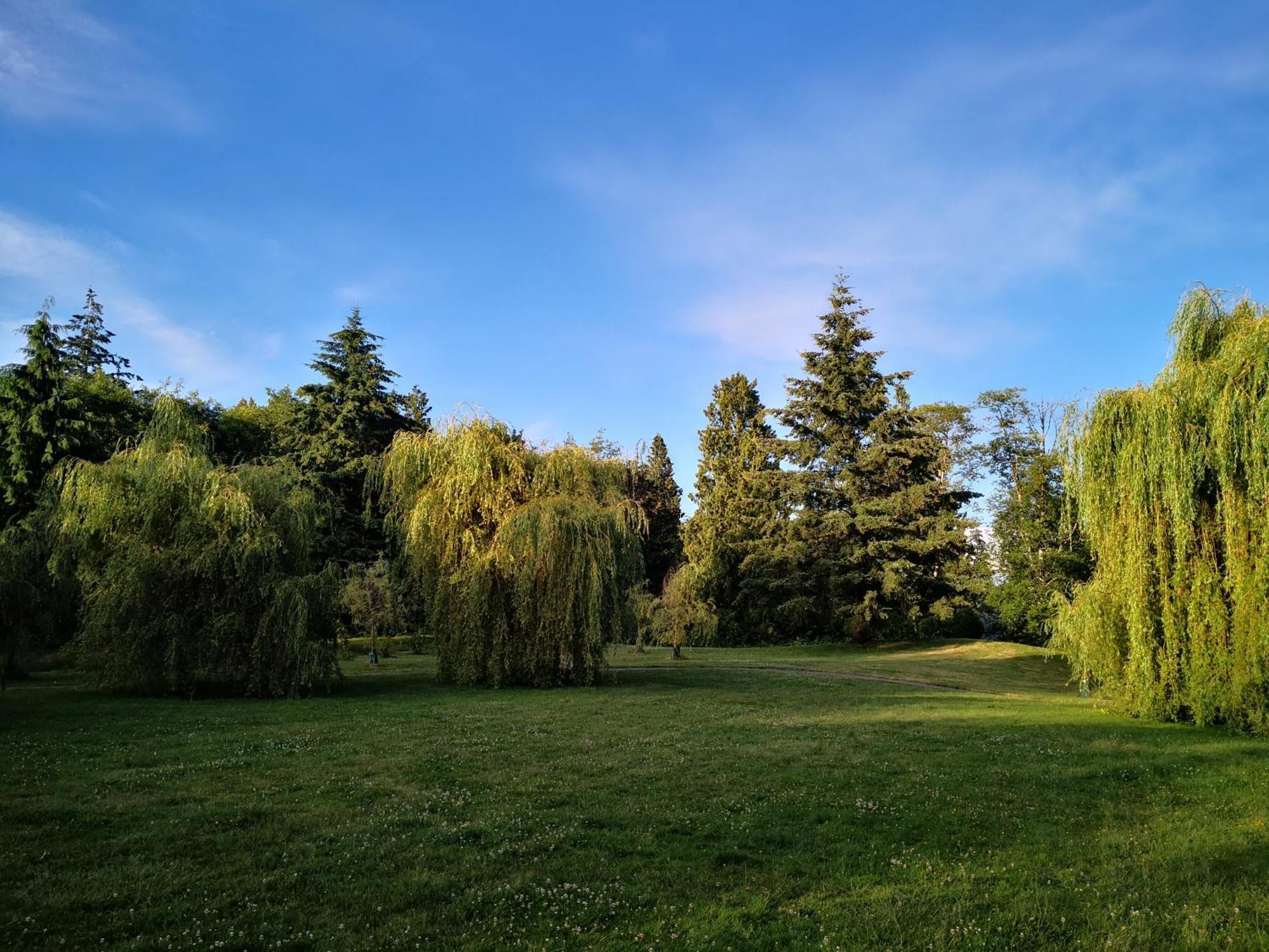 Entire Forest Home Near Nature & Amenities サレー エクステリア 写真